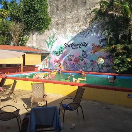 Butterfly Hostel Πουέρτο Ιγκουασού Εξωτερικό φωτογραφία