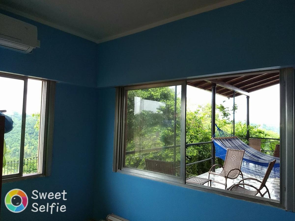 Butterfly Hostel Πουέρτο Ιγκουασού Εξωτερικό φωτογραφία