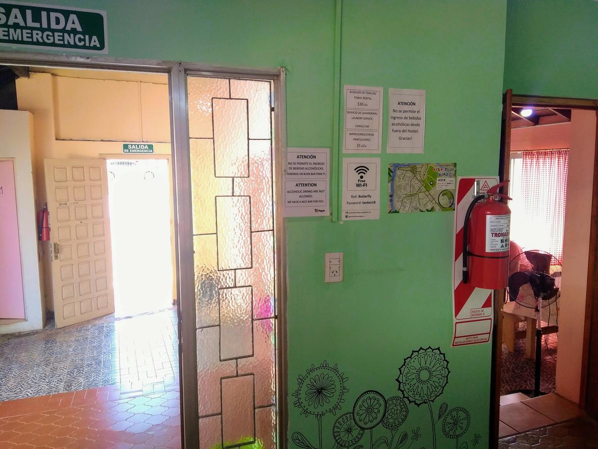 Butterfly Hostel Πουέρτο Ιγκουασού Εξωτερικό φωτογραφία
