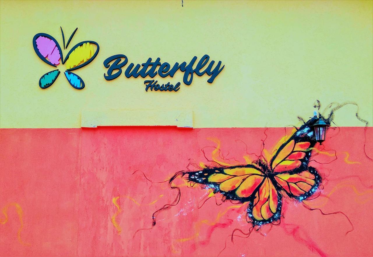Butterfly Hostel Πουέρτο Ιγκουασού Εξωτερικό φωτογραφία