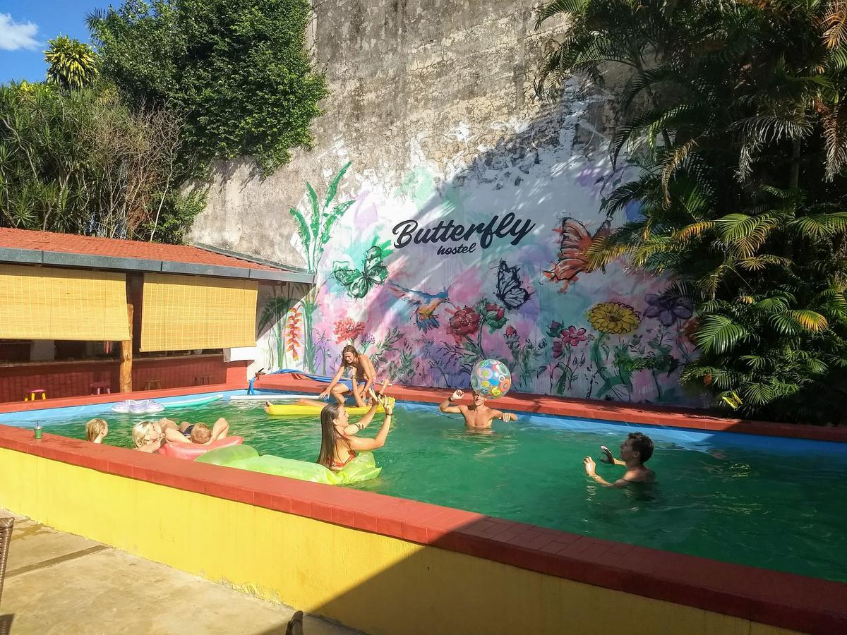 Butterfly Hostel Πουέρτο Ιγκουασού Εξωτερικό φωτογραφία