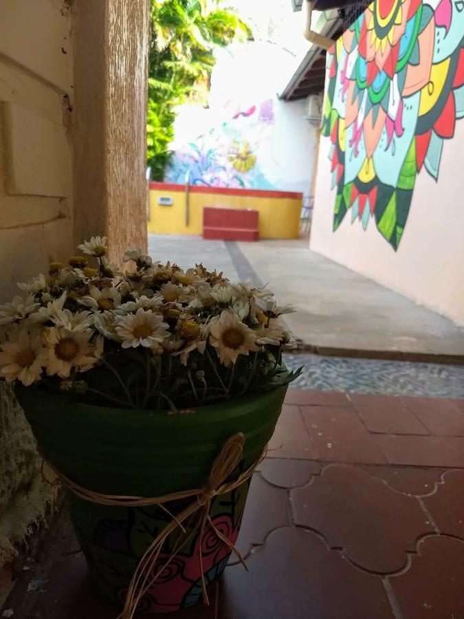 Butterfly Hostel Πουέρτο Ιγκουασού Εξωτερικό φωτογραφία